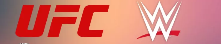 UFC 311